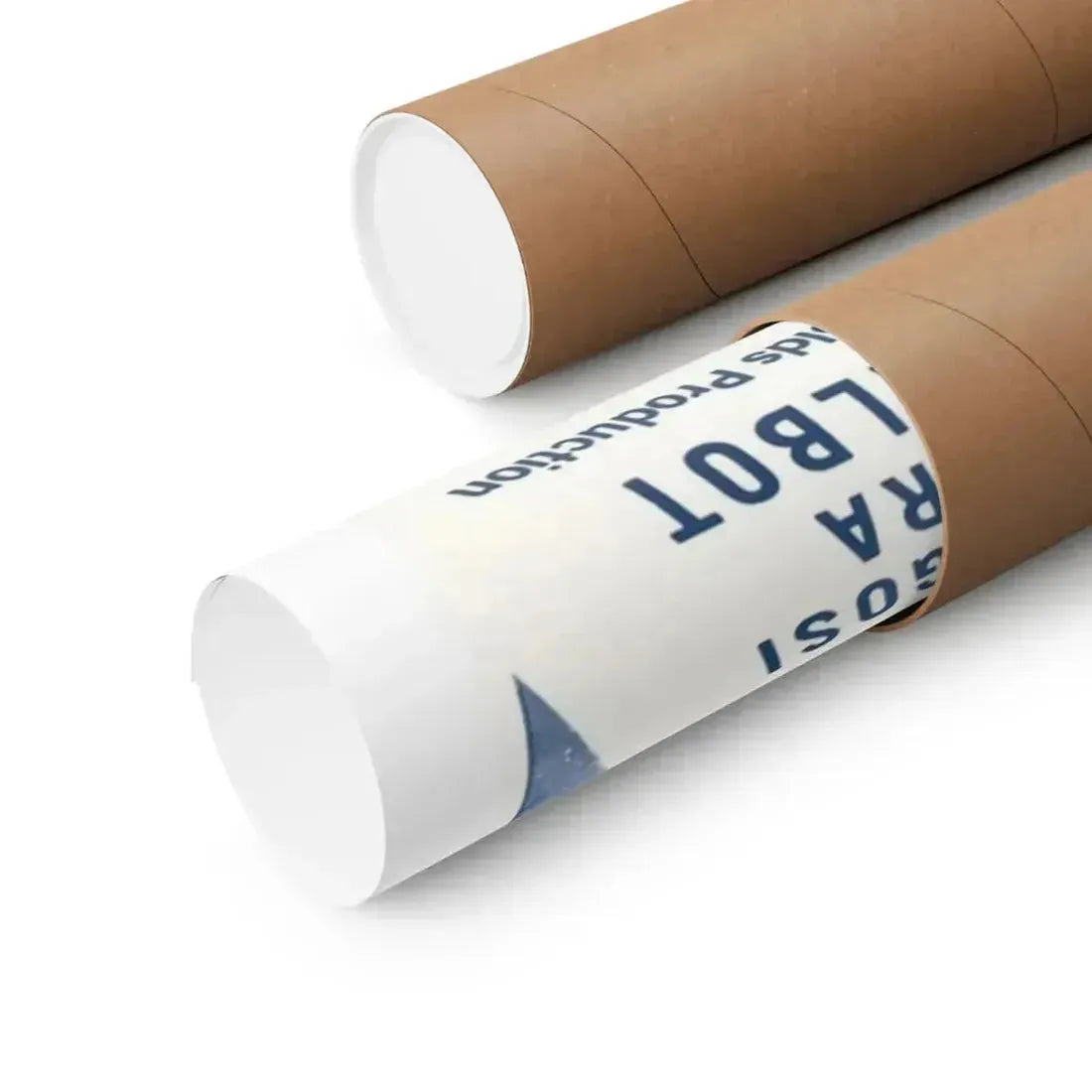 PLAN 9 FROM OUTER SPACE 1959 - Paper Movie Poster - The Sticker Space