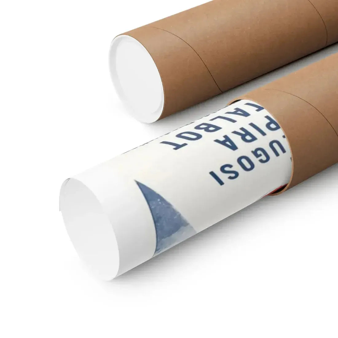 PLAN 9 FROM OUTER SPACE 1959 - Paper Movie Poster - The Sticker Space