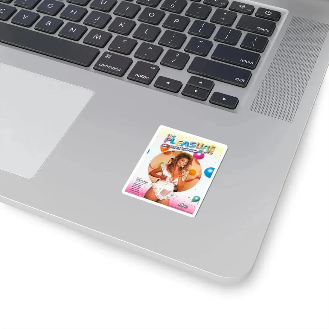 PLEASURE PARTY 1975 Movie Poster - STICKER Vinyl Kiss-Cut Decal - The Sticker Space