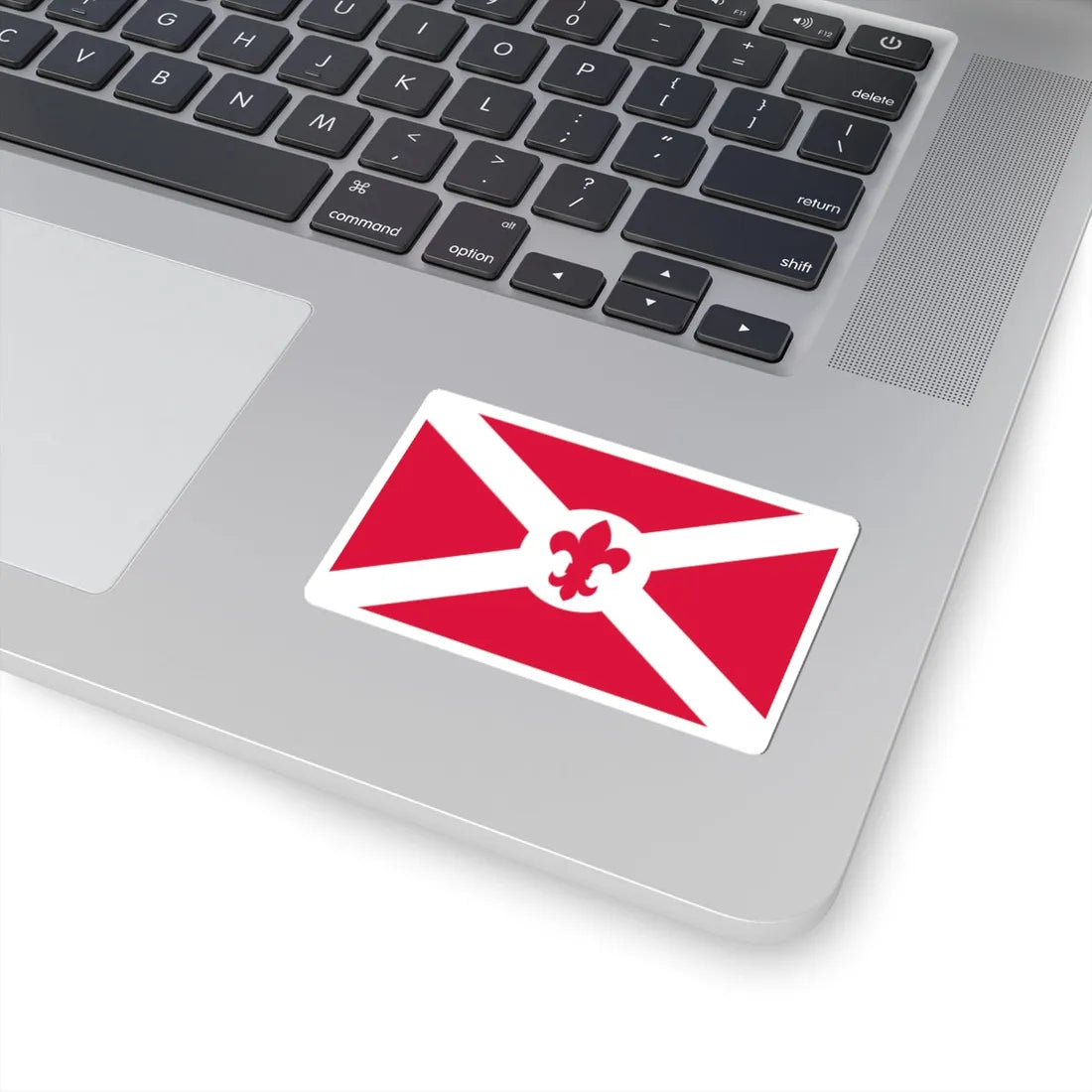 POL Bandera ZHP (Poland) STICKER Vinyl Kiss-Cut Decal - The Sticker Space