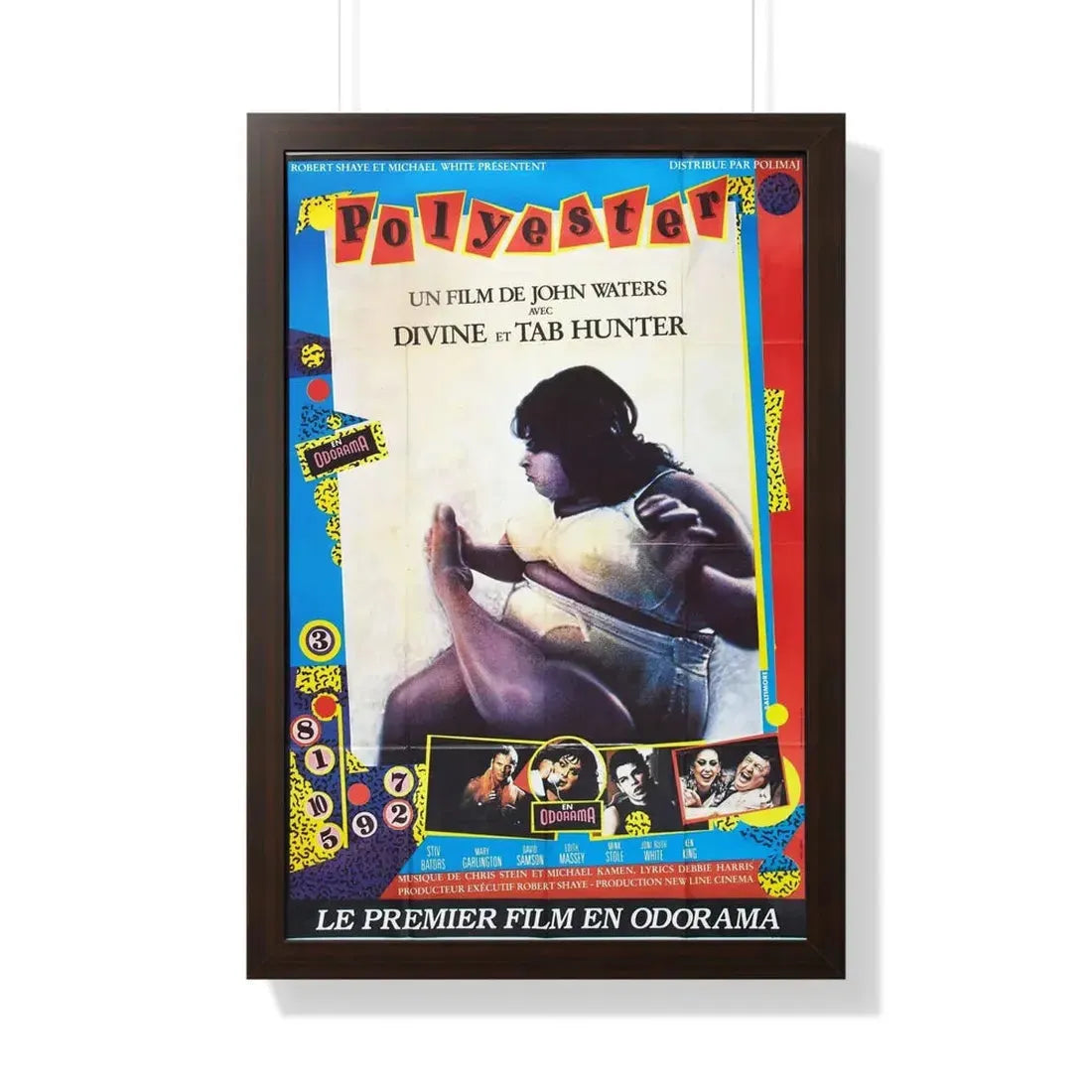 POLYESTER (FRENCH) 1981 - Framed Movie Poster - The Sticker Space