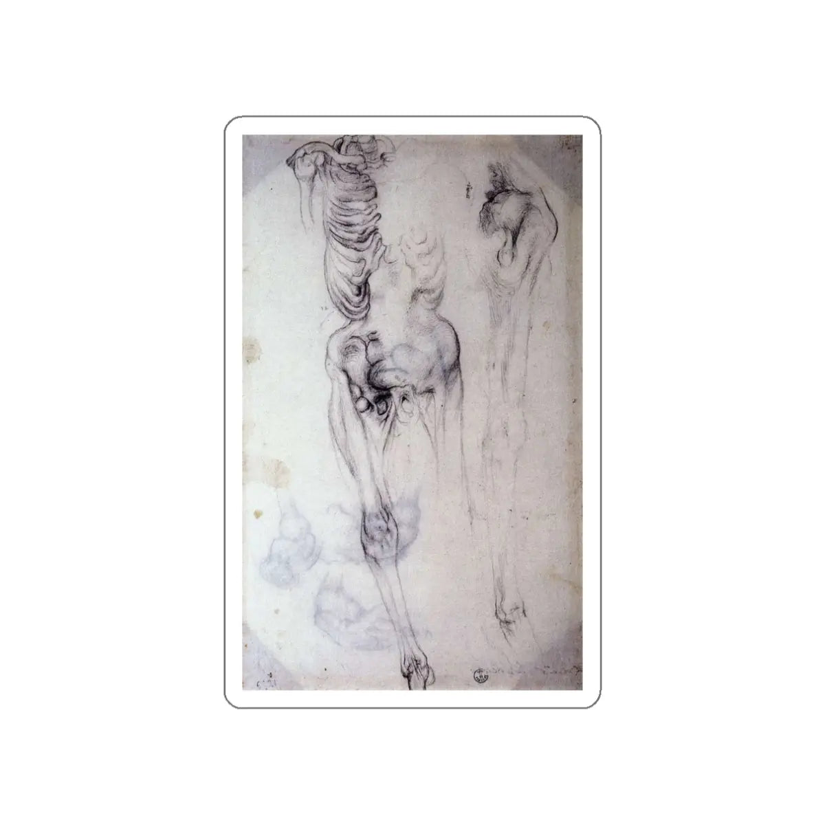 SKU:14794360958515355093 Sticker types:White Shape:Die-Cut Sizes:3" × 3"