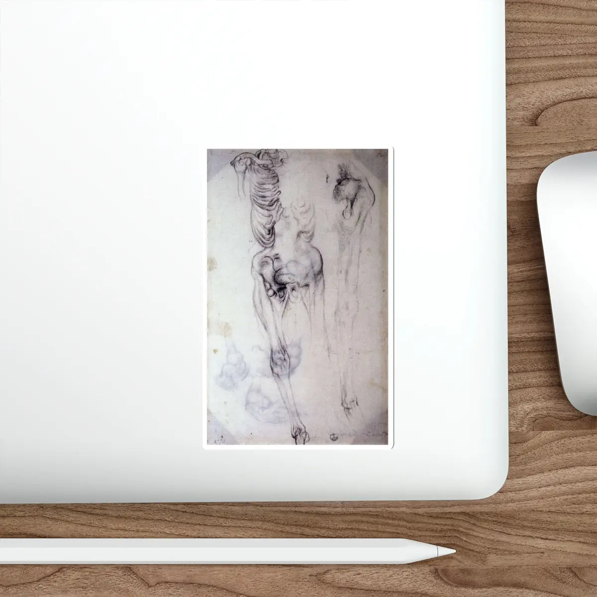 SKU:18395645631911917269 Sticker types:White Shape:Die-Cut Sizes:5" × 5"