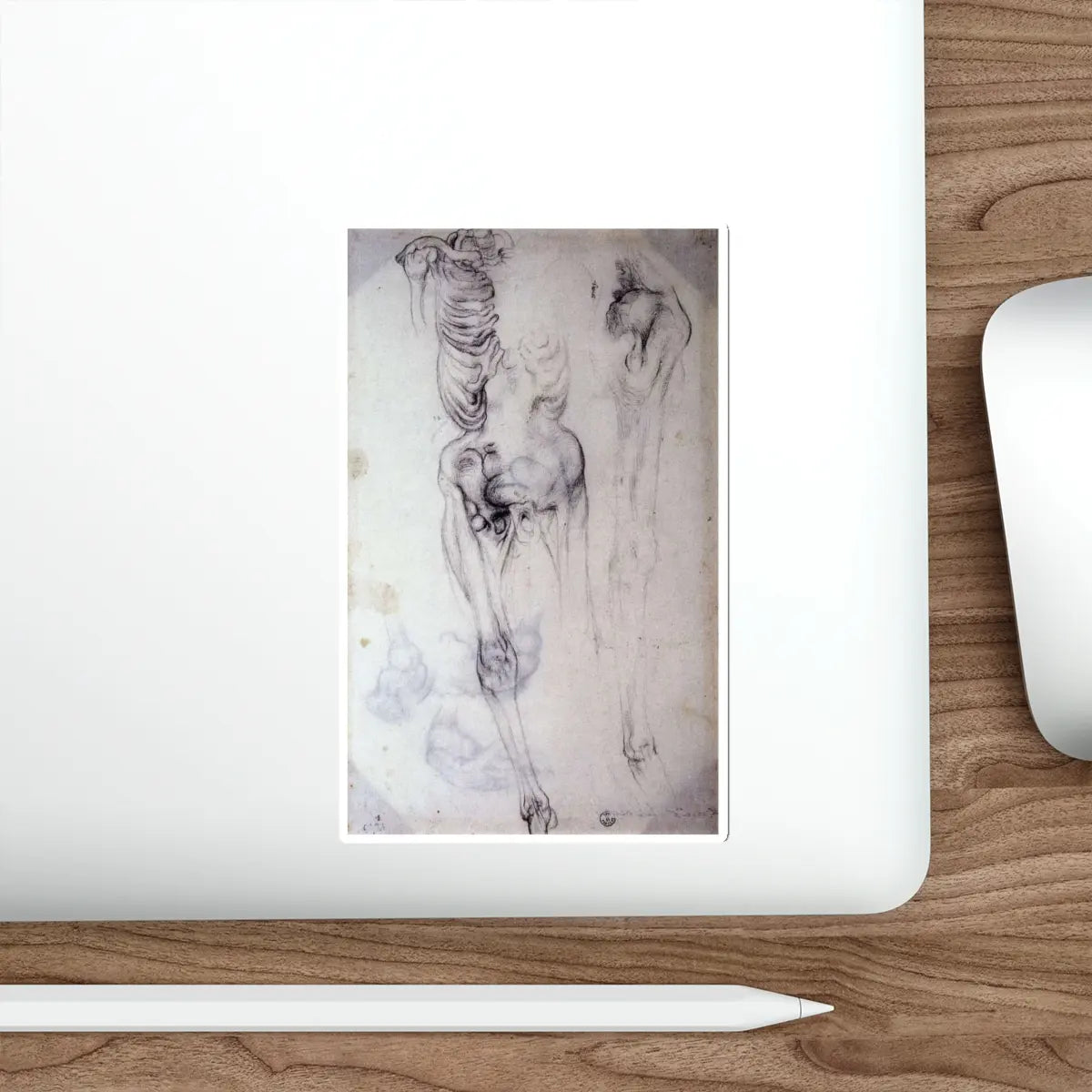 SKU:26530356215477770368 Sticker types:White Shape:Die-Cut Sizes:6" × 6"