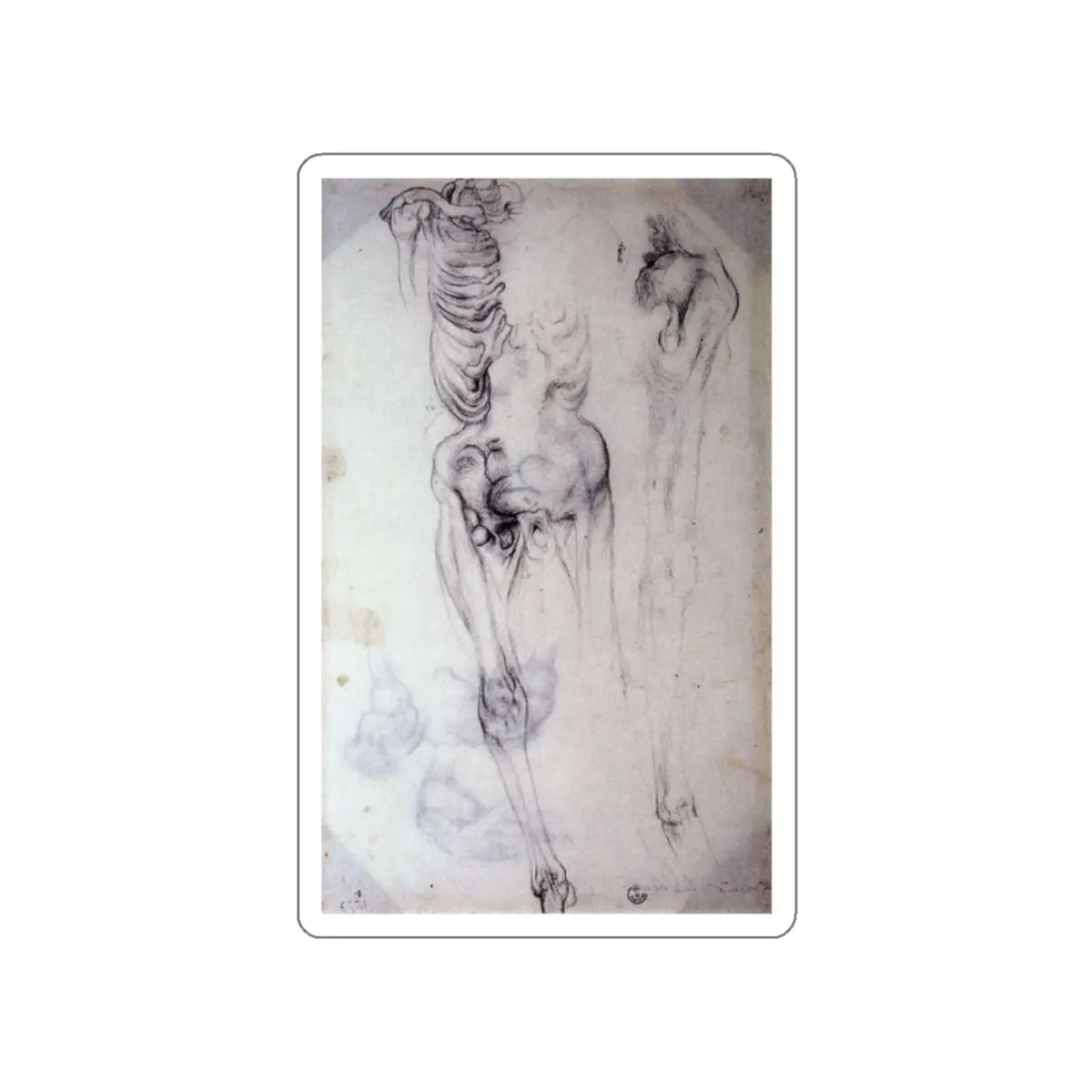 SKU:33835437783376618486 Sticker types:White Shape:Die-Cut Sizes:2" × 2"