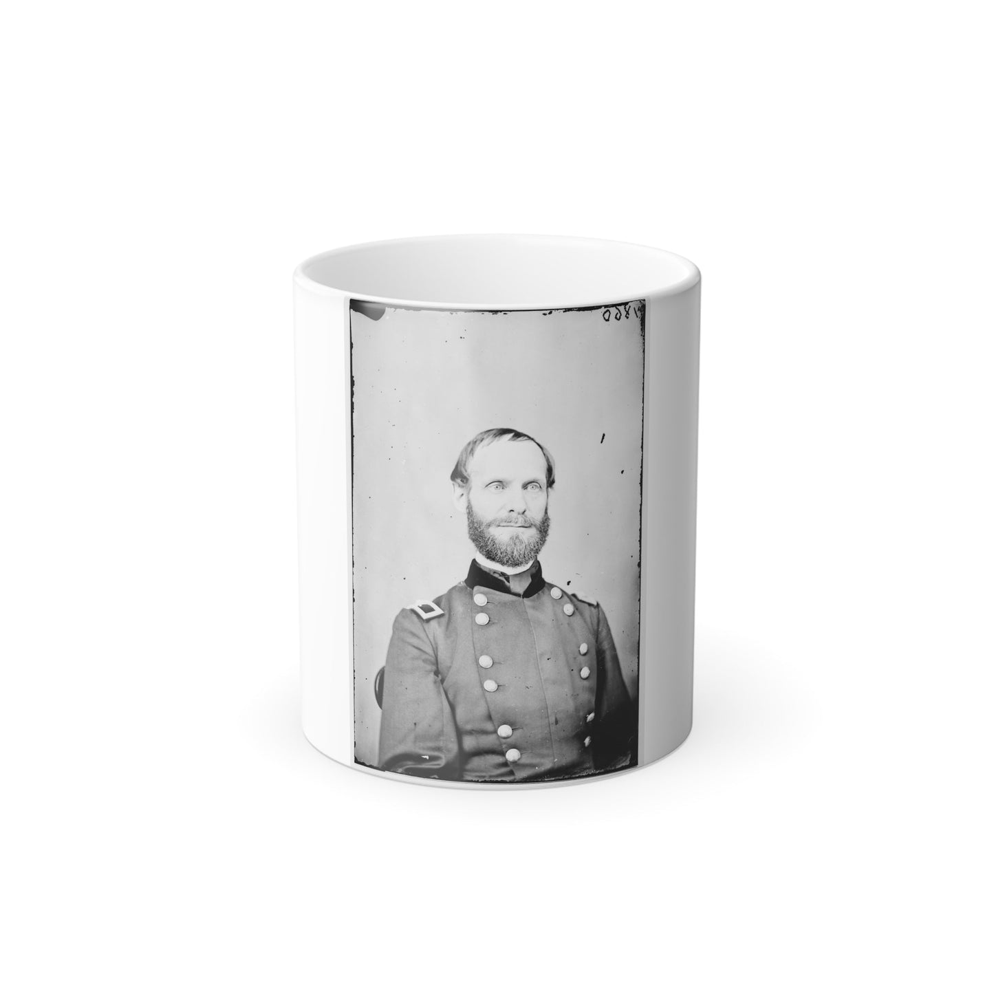 Portrait of Brig. Gen. Edward D. Townsend, Assistant Adjutant General (U.S. Civil War) Color Morphing Mug 11oz-11oz-The Sticker Space