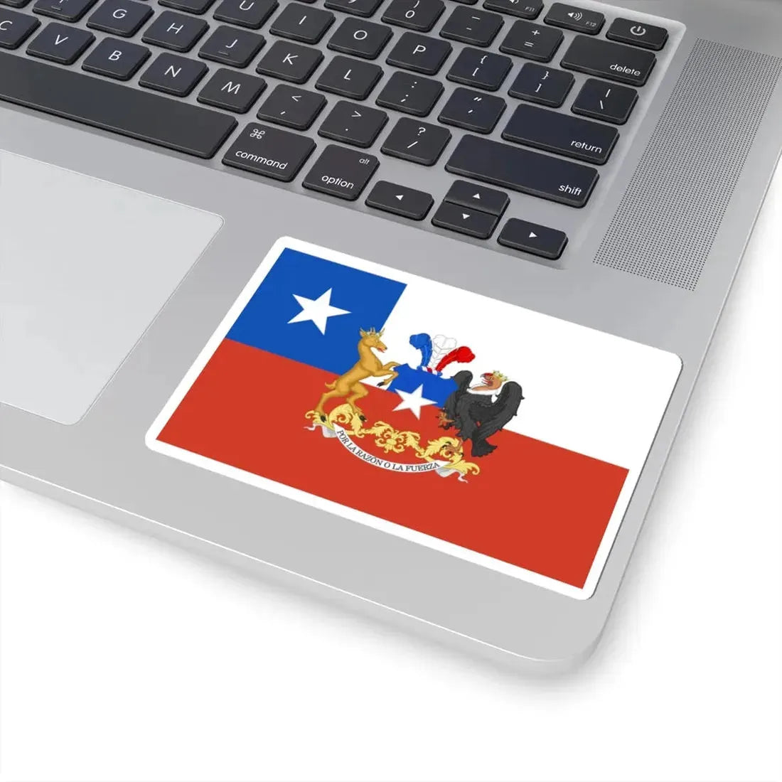 Presidential Standard of Chile (Chile) STICKER Vinyl Kiss-Cut Decal - The Sticker Space