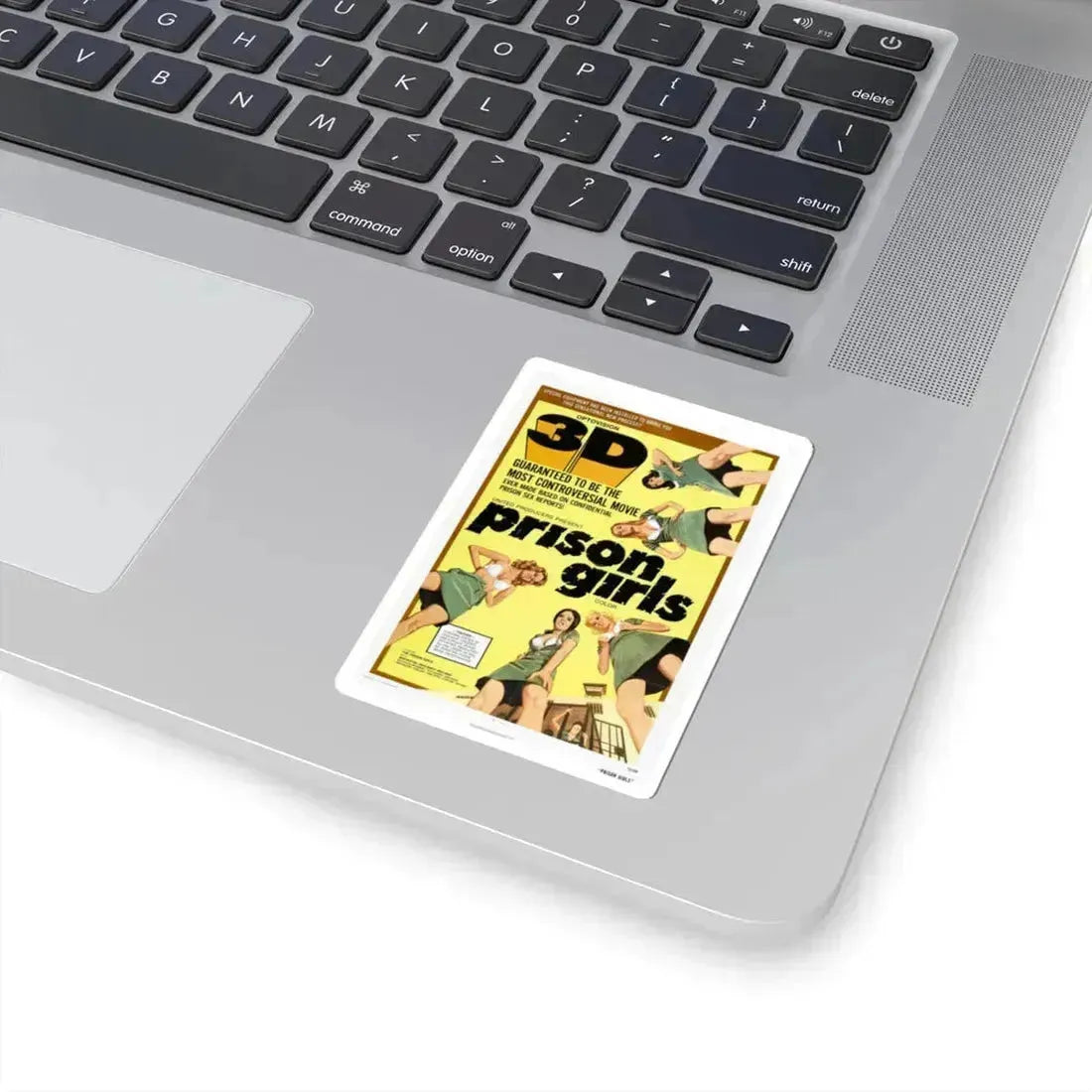 Prison Girls 1972 Movie Poster - STICKER Vinyl Kiss-Cut Decal - The Sticker Space