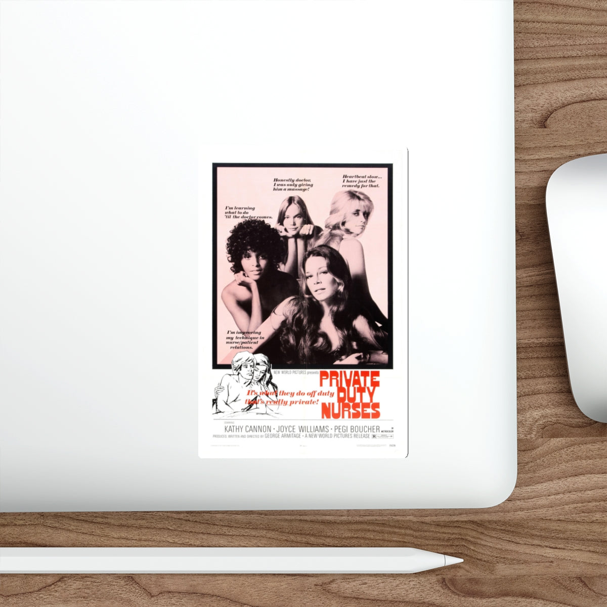 PRIVATE DUTY NURSES 1971 Movie Poster STICKER Vinyl Die-Cut Decal-The Sticker Space