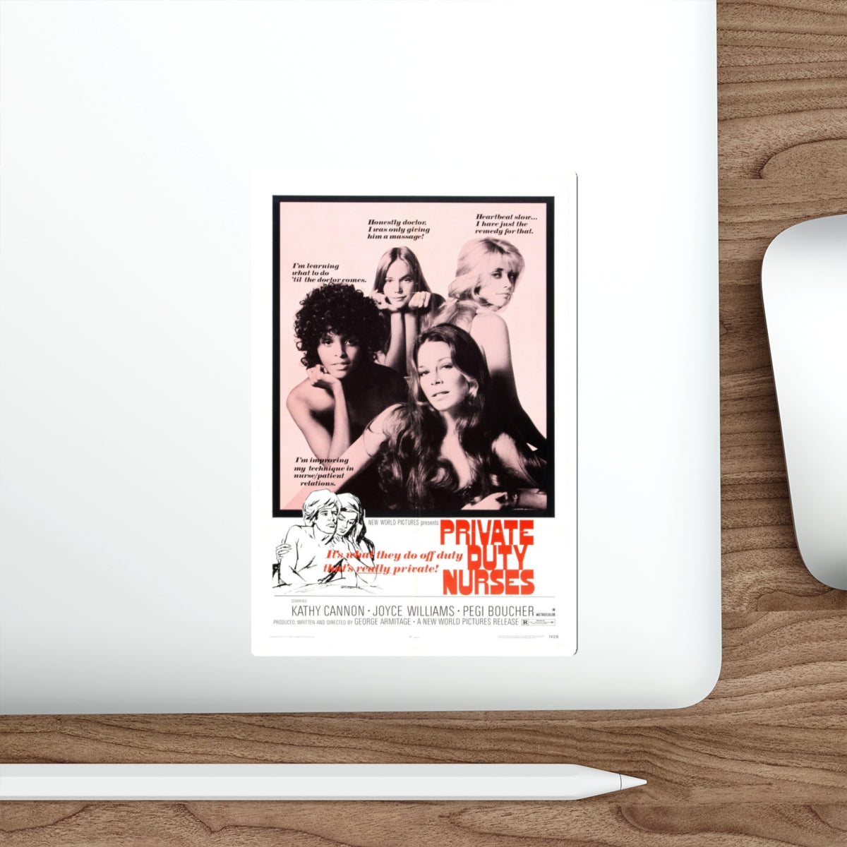 PRIVATE DUTY NURSES 1971 Movie Poster STICKER Vinyl Die-Cut Decal-The Sticker Space
