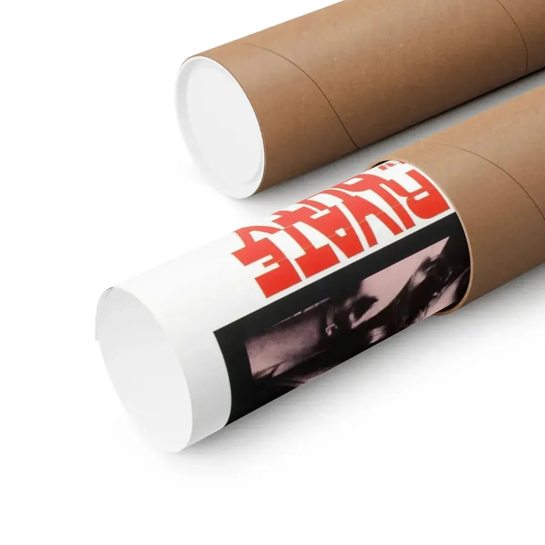 PRIVATE DUTY NURSES 1971 - Paper Movie Poster - The Sticker Space