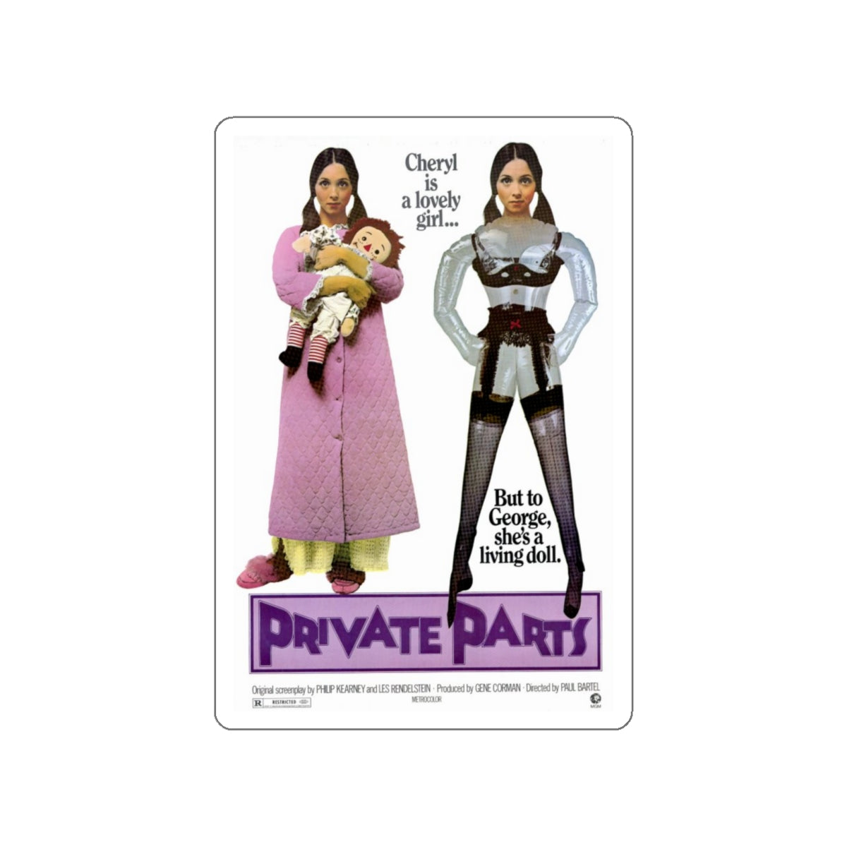 PRIVATE PARTS 1997 Movie Poster STICKER Vinyl Die-Cut Decal-White-The Sticker Space