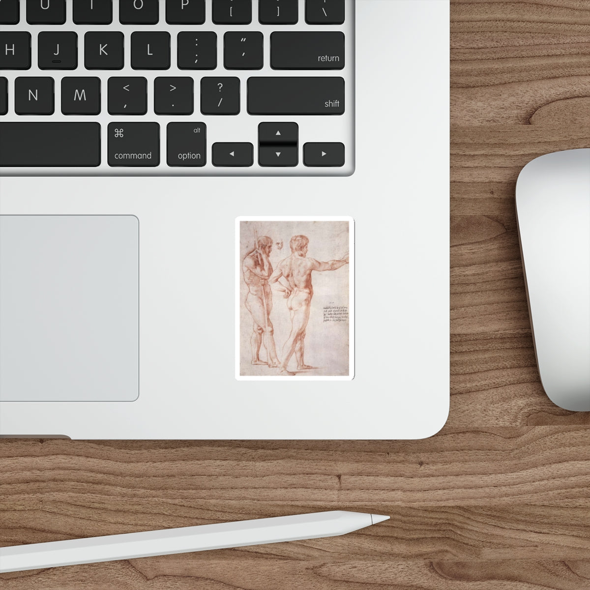 RAFFAELLO Sanzio - Nude Study (Artwork) STICKER Vinyl Die-Cut Decal-The Sticker Space