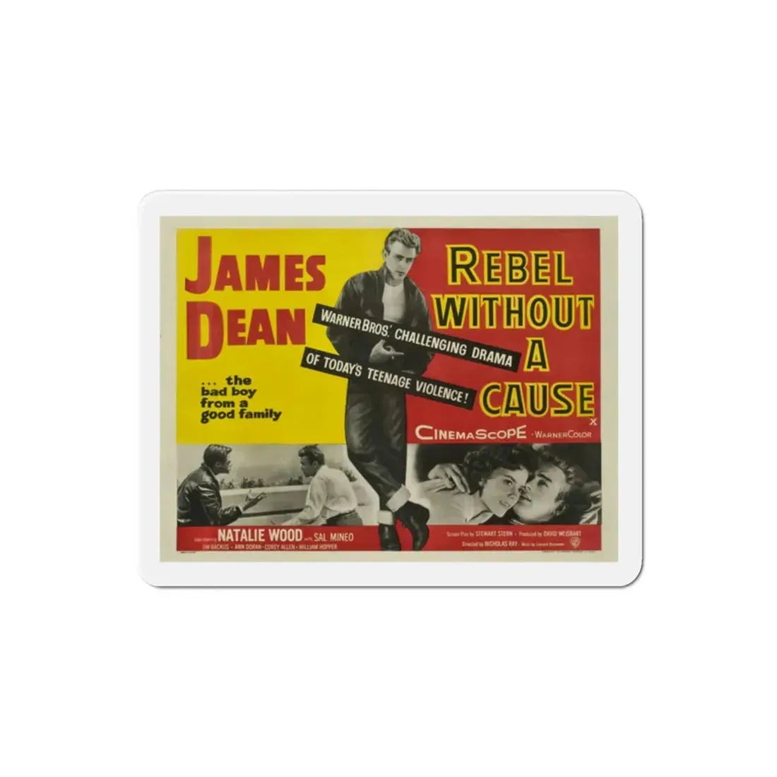 Rebel Without a Cause 1955 v2 Movie Poster Refrigerator Magnet - The Sticker Space