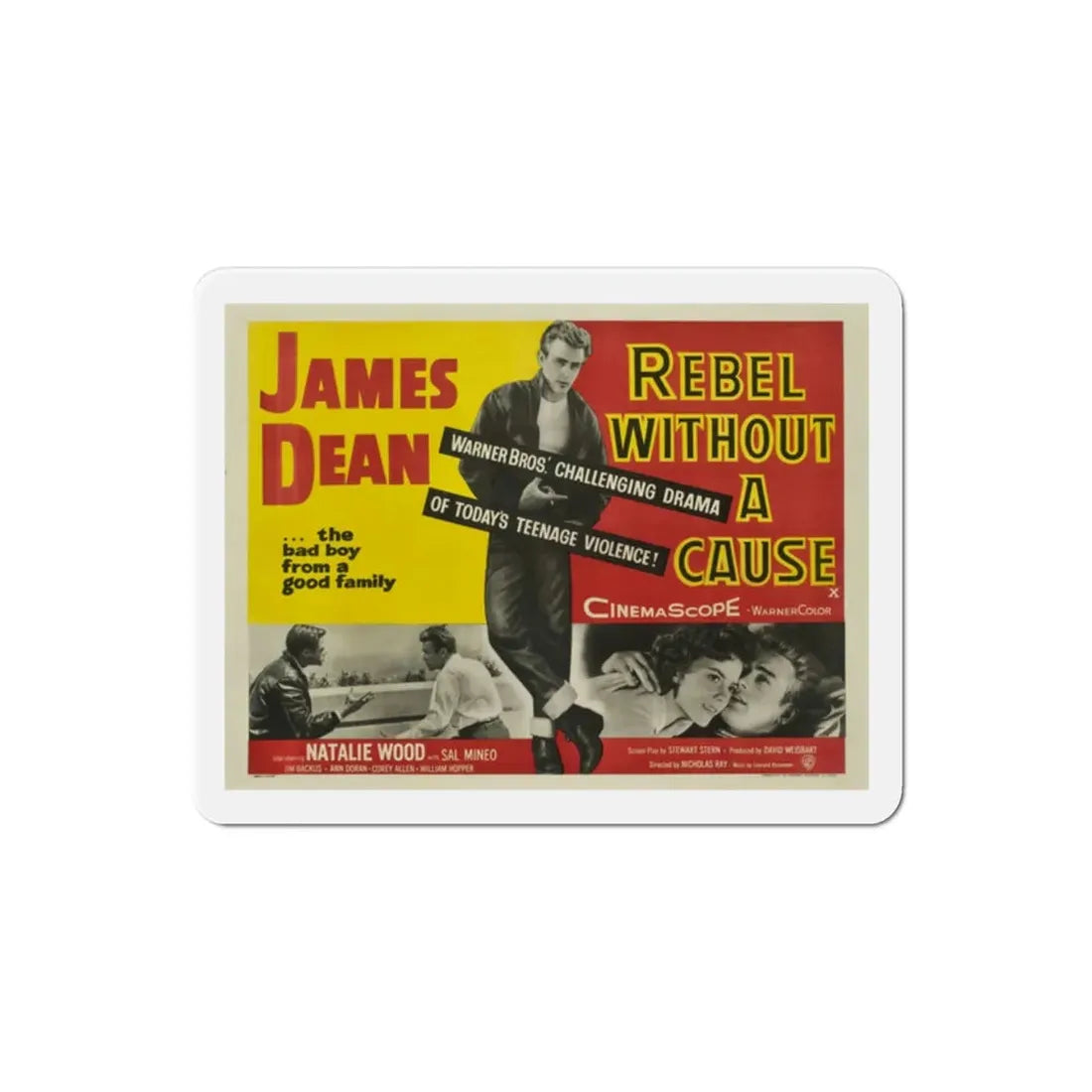 Rebel Without a Cause 1955 v2 Movie Poster Refrigerator Magnet - The Sticker Space