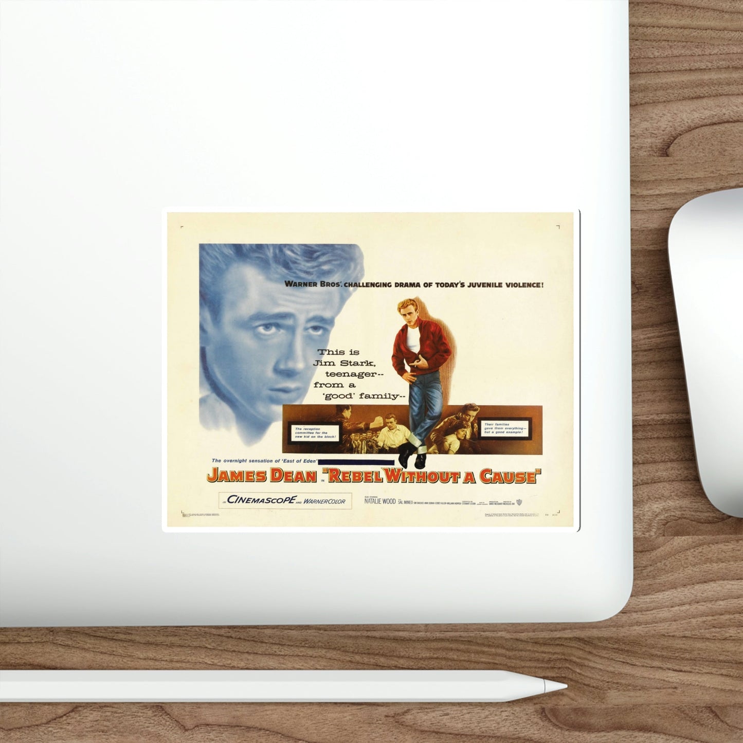 Rebel Without a Cause 1955 v3 Movie Poster STICKER Vinyl Die-Cut Decal-The Sticker Space