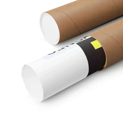 REFORM SCHOOL GIRL 1957 - Paper Movie Poster - The Sticker Space