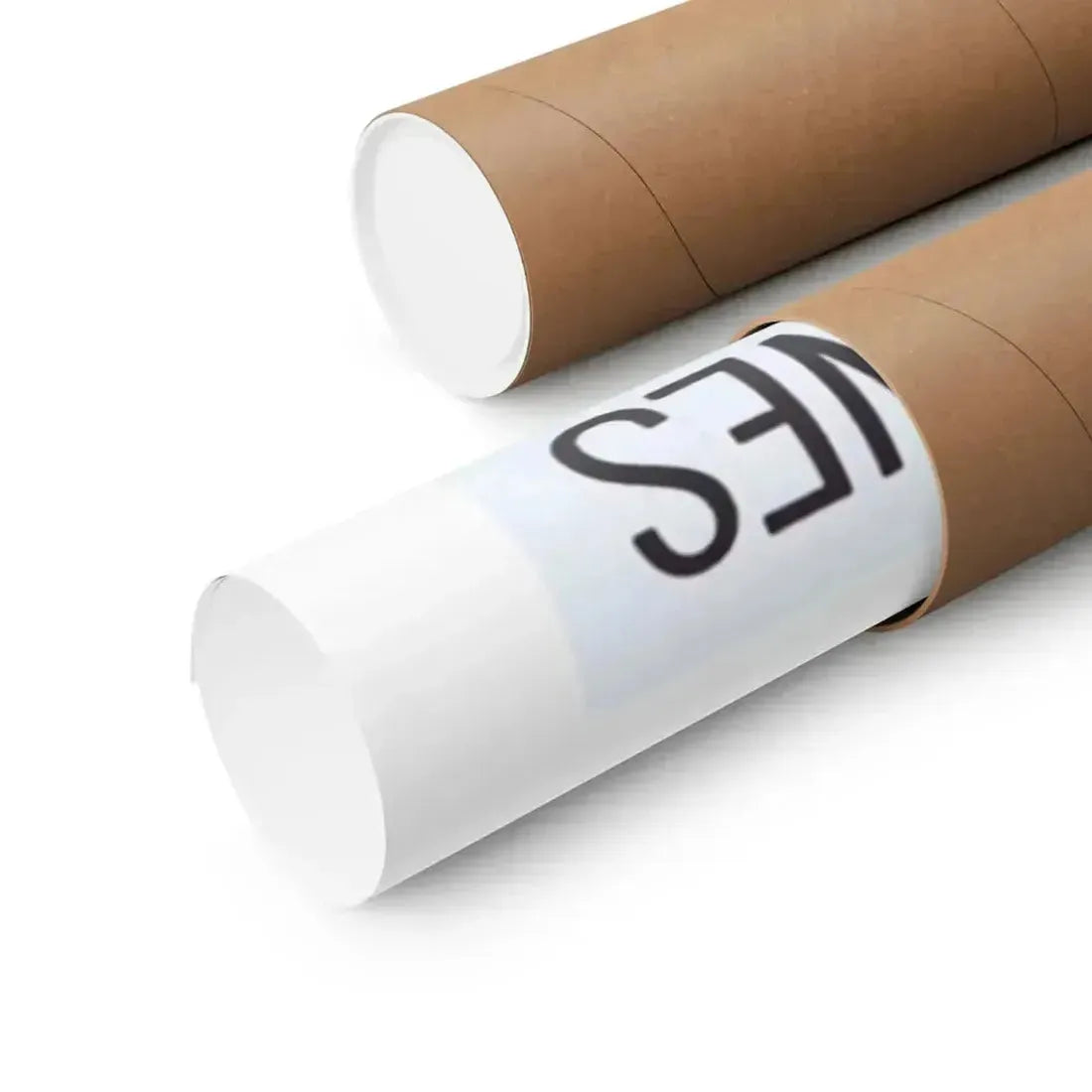 REFORM SCHOOL GIRL 1957 - Paper Movie Poster - The Sticker Space