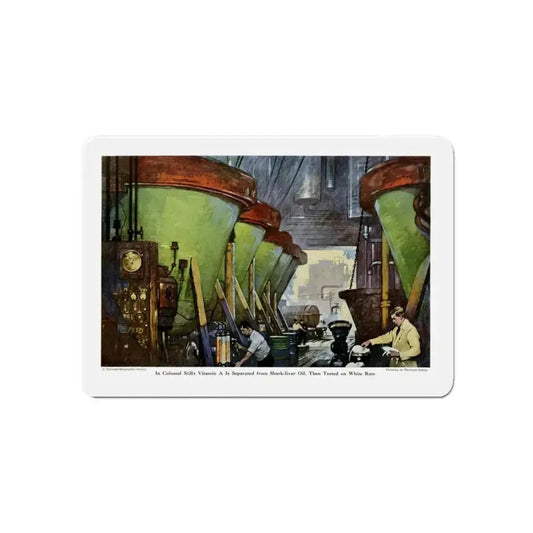 Rendering Vitamin A From Shark Liver, 1945 (Magazine Illustration) Refrigerator Magnet 6 Inch Die-Cut - The Sticker Space