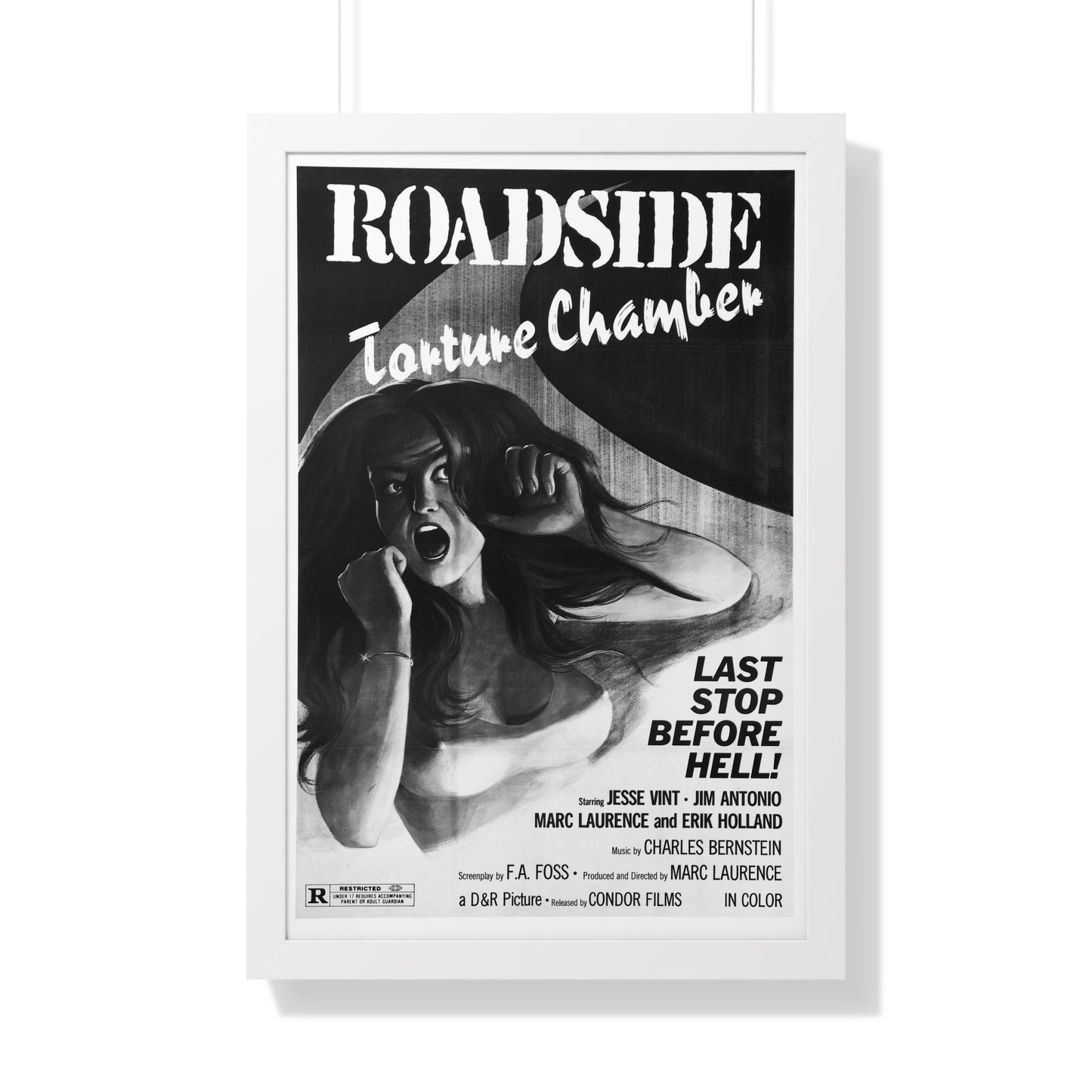 ROADSIDE TORTURE CHAMBER (PIGS) 1973 - Framed Movie Poster-20" x 30"-The Sticker Space