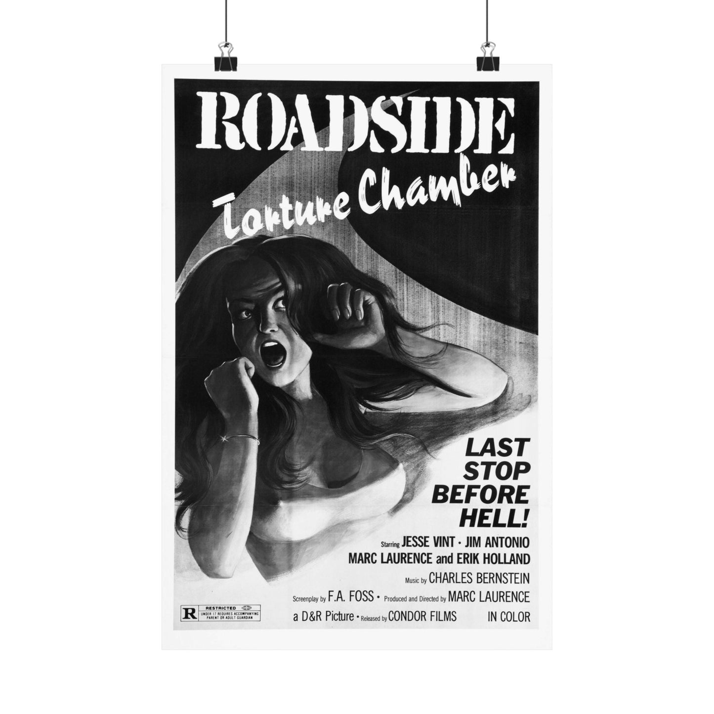 ROADSIDE TORTURE CHAMBER (PIGS) 1973 - Paper Movie Poster-12″ x 18″-The Sticker Space