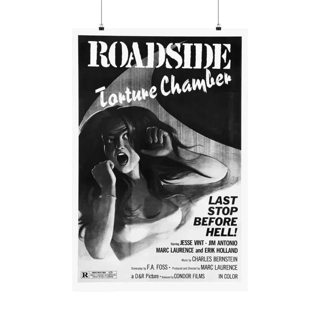 ROADSIDE TORTURE CHAMBER (PIGS) 1973 - Paper Movie Poster 24″ x 36″ Matte - The Sticker Space
