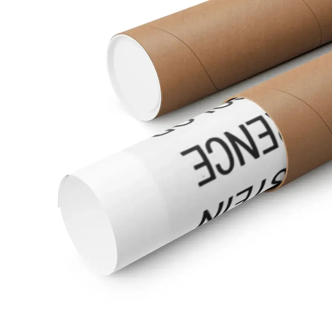 ROADSIDE TORTURE CHAMBER (PIGS) 1973 - Paper Movie Poster - The Sticker Space