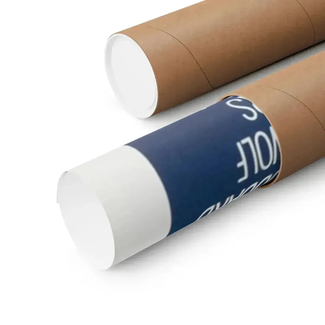 ROLLER BOOGIE 1979 - Paper Movie Poster - The Sticker Space