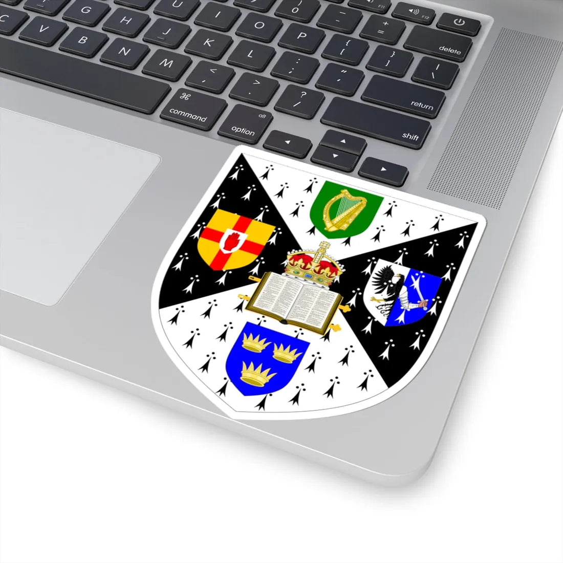 Royal University of Ireland arms (United Kingdom) (Coat of Arms) STICKER Vinyl Kiss-Cut Decal - The Sticker Space