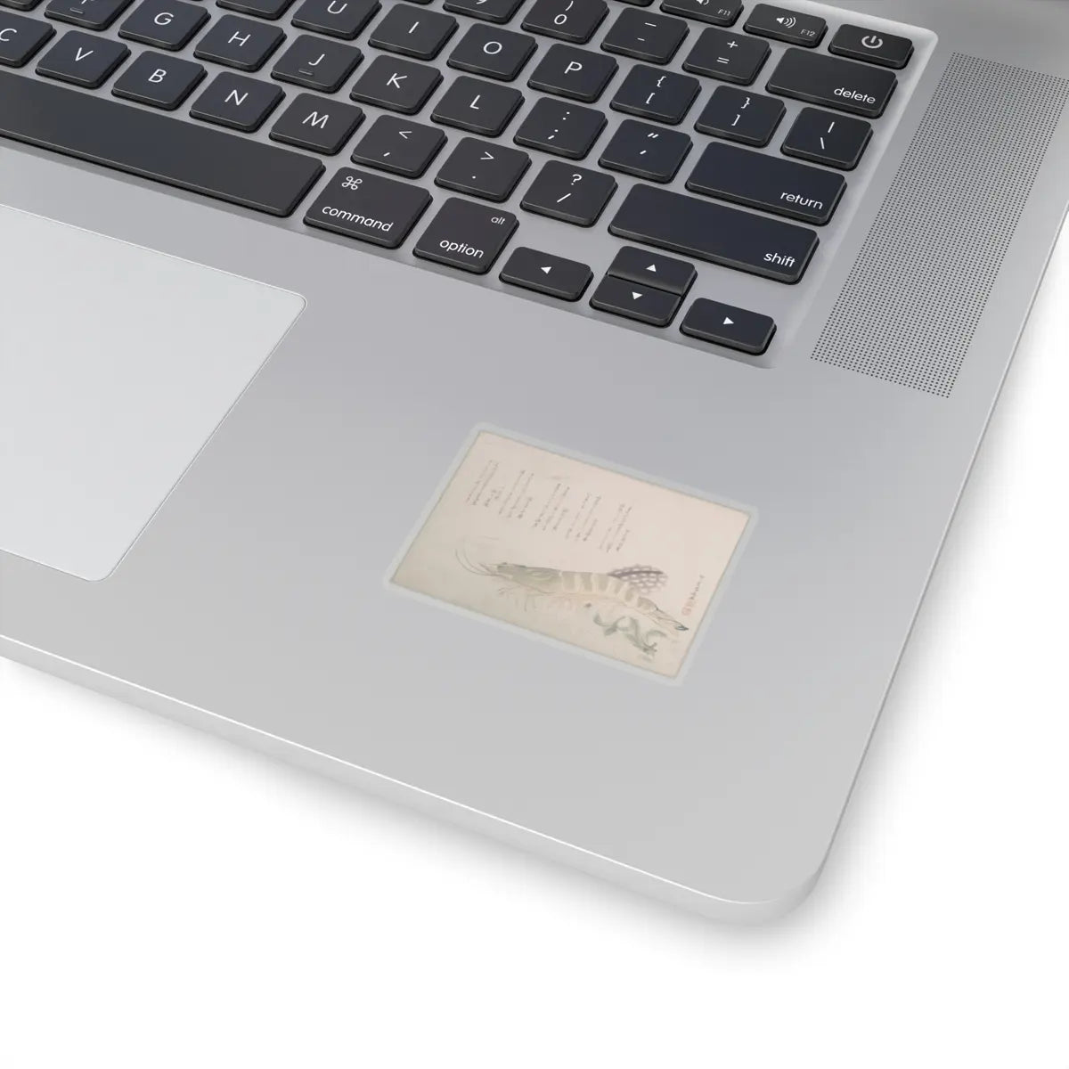 SKU:TSS-STICK-RYRSHN-2X2-13WK8 Sizes:2" × 2" Types:Transparent