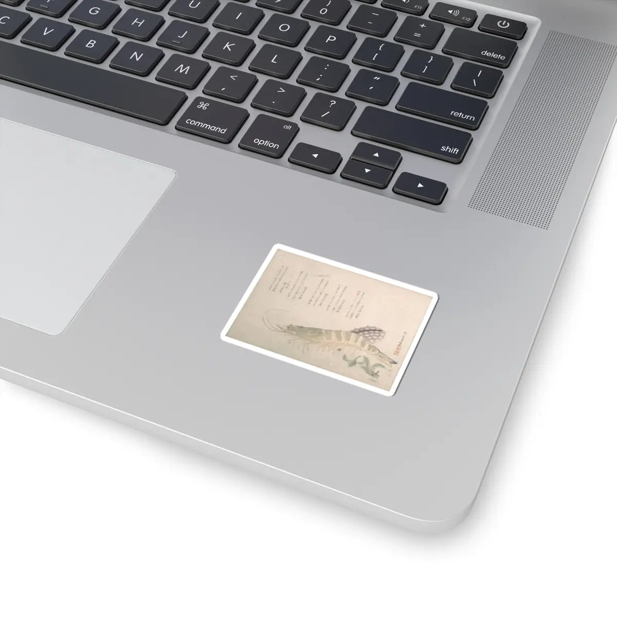 SKU:TSS-STICK-RYRSHN-2X2-90 Sizes:2" × 2" Types:White
