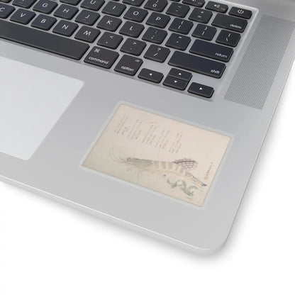 SKU:TSS-STICK-RYRSHN-3X3-13WK8 Sizes:3" × 3" Types:Transparent