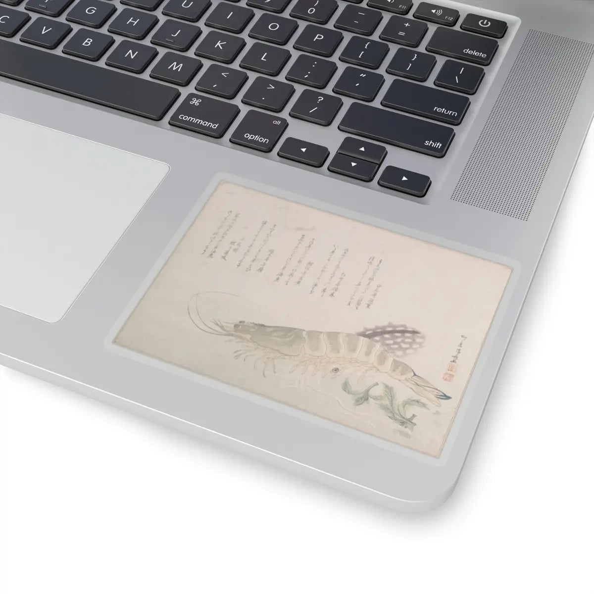 SKU:TSS-STICK-RYRSHN-4X4-13WK8 Sizes:4" × 4" Types:Transparent