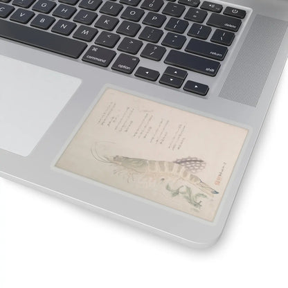 SKU:TSS-STICK-RYRSHN-4X4-13WK8 Sizes:4" × 4" Types:Transparent