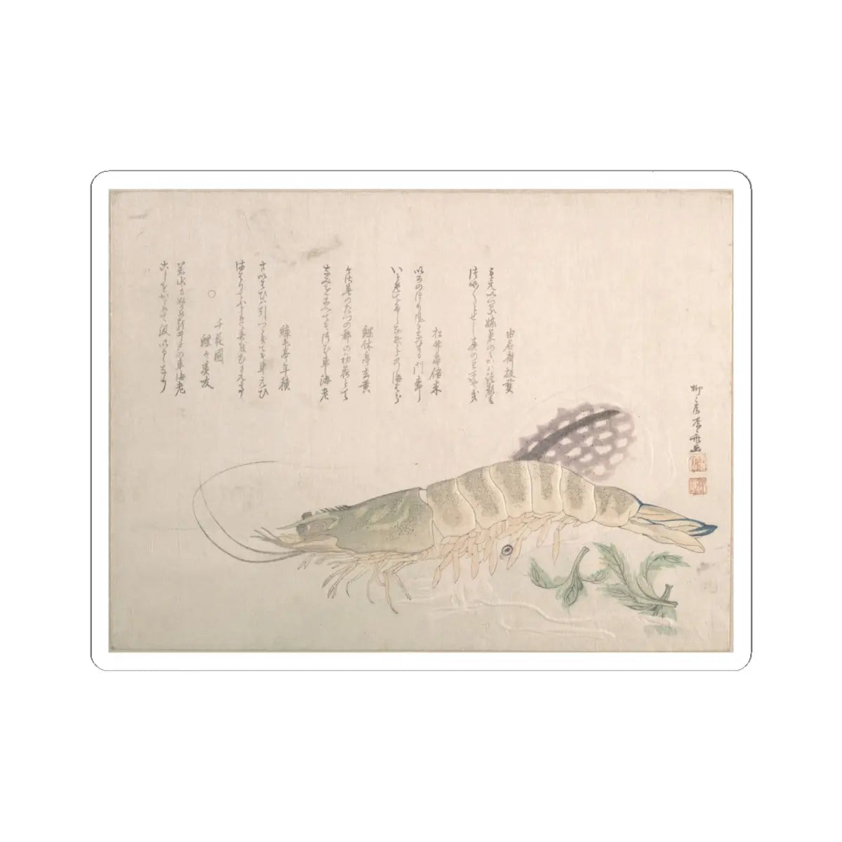 SKU:TSS-STICK-RYRSHN-6X6-90 Sizes:6" × 6" Types:White