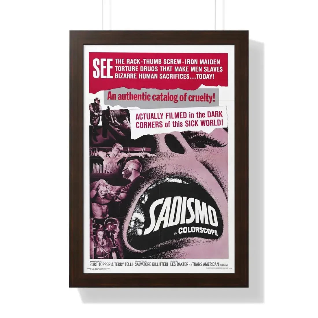 SADISMO 1967 - Framed Movie Poster - The Sticker Space