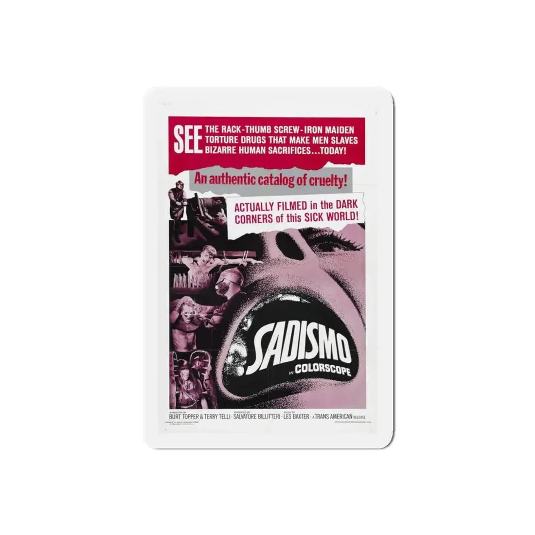 SADISMO 1967 Movie Poster - Refrigerator Magnet - The Sticker Space