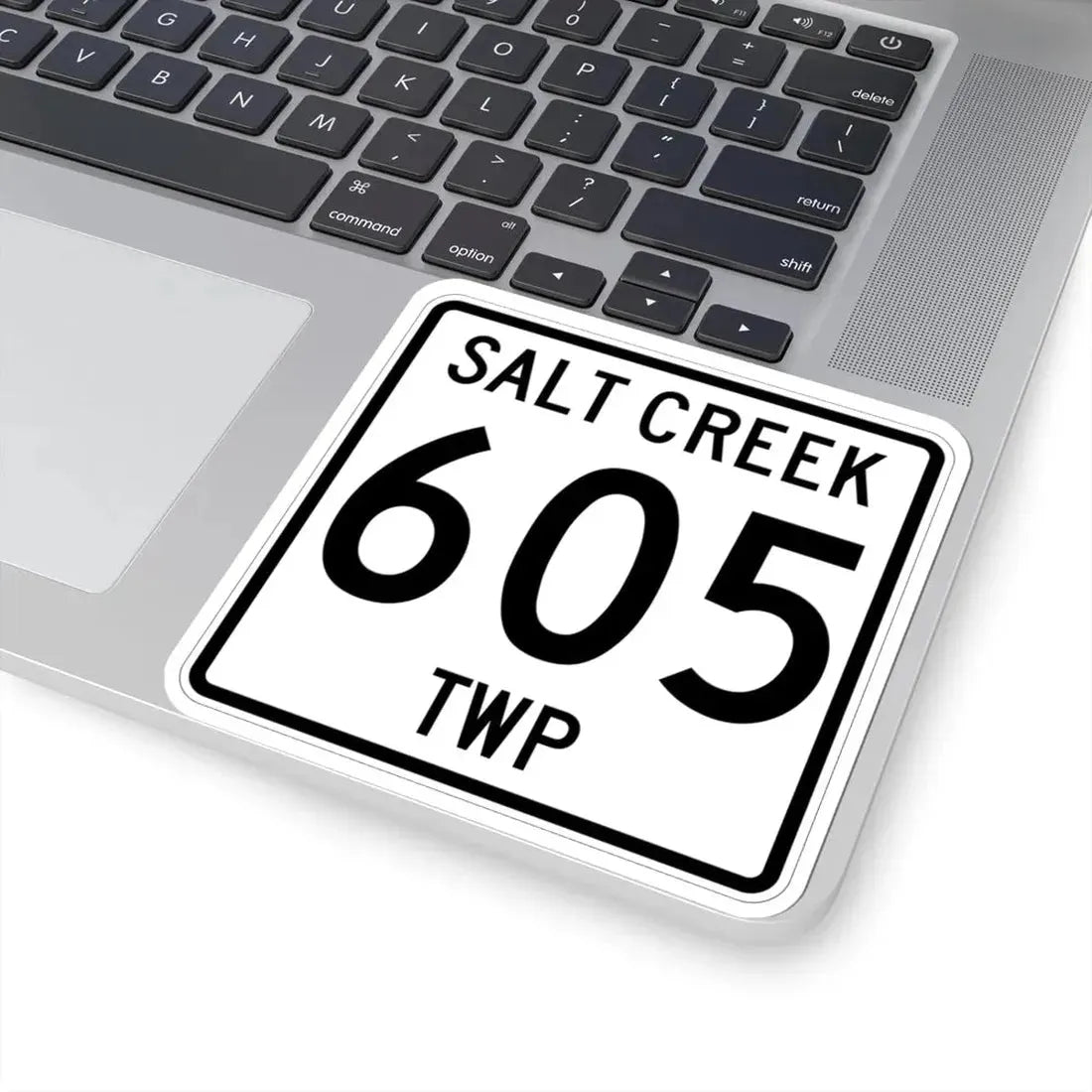 Salt Creek Township Route 605 Holmes County Ohio (Ohio) (Road Sign) STICKER Vinyl Kiss-Cut Decal - The Sticker Space
