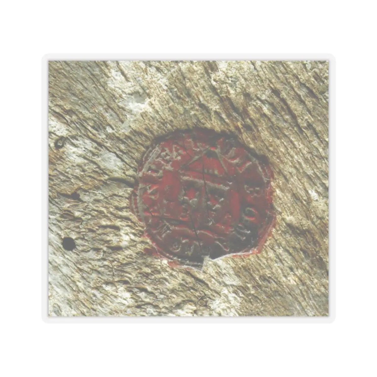 SKU:TSS-STICK-SSSSTF-2X2-1N2JE Sizes:2" × 2" Types:Transparent