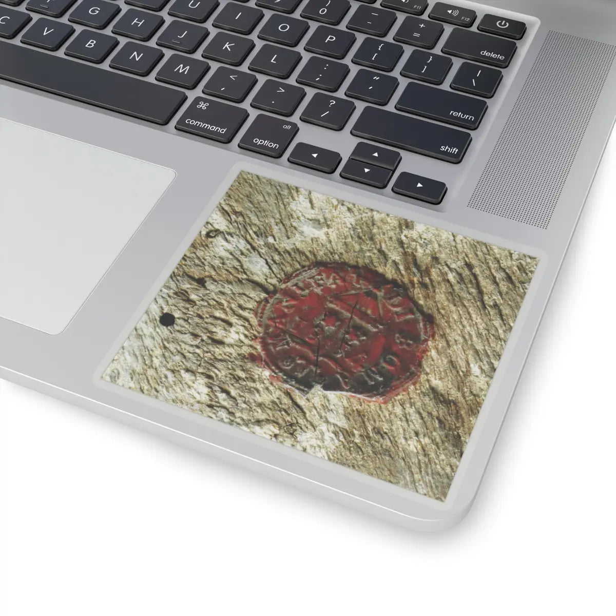 SKU:TSS-STICK-SSSSTF-4X4-1N2JE Sizes:4" × 4" Types:Transparent