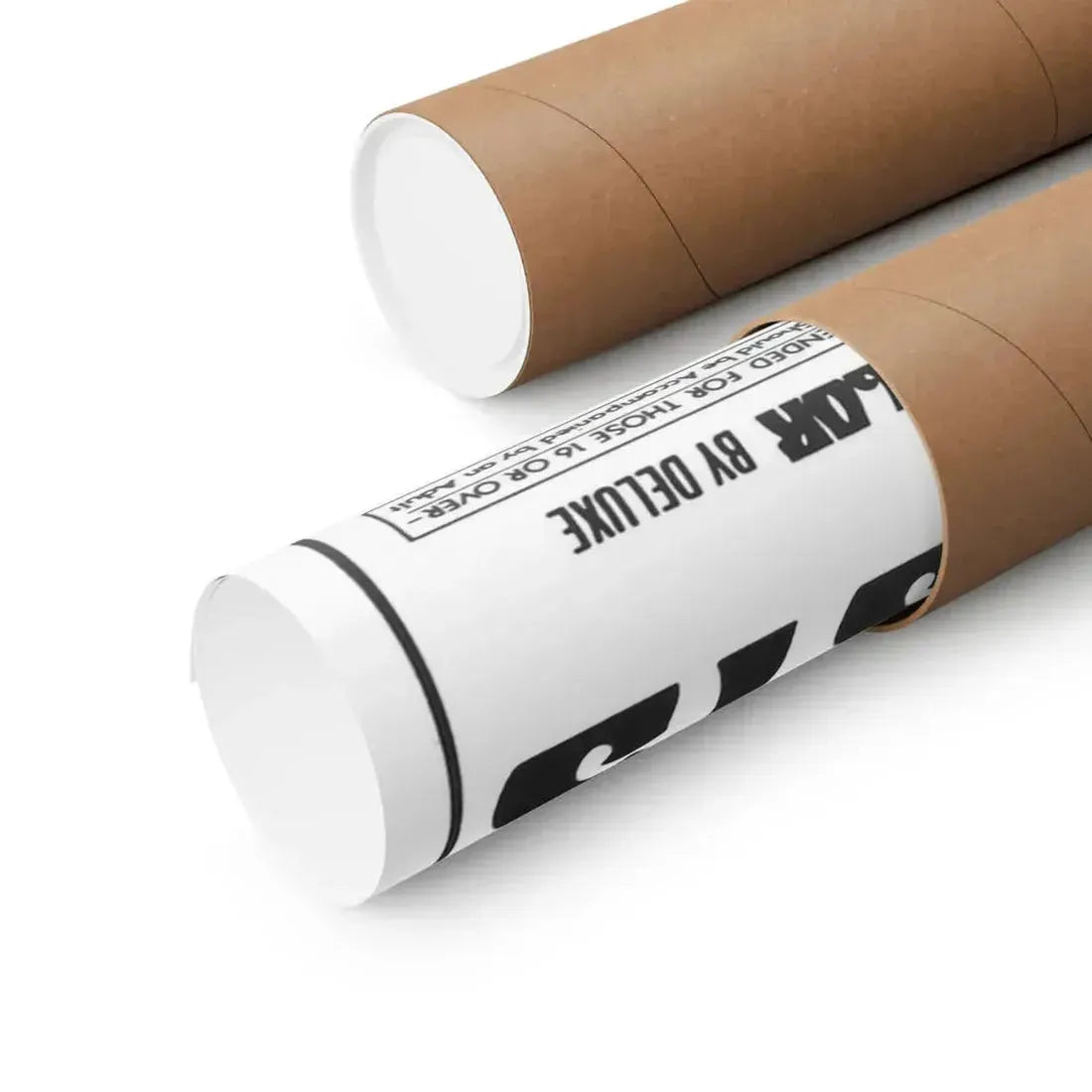 SATAN'S SADISTS 1969 - Paper Movie Poster - The Sticker Space