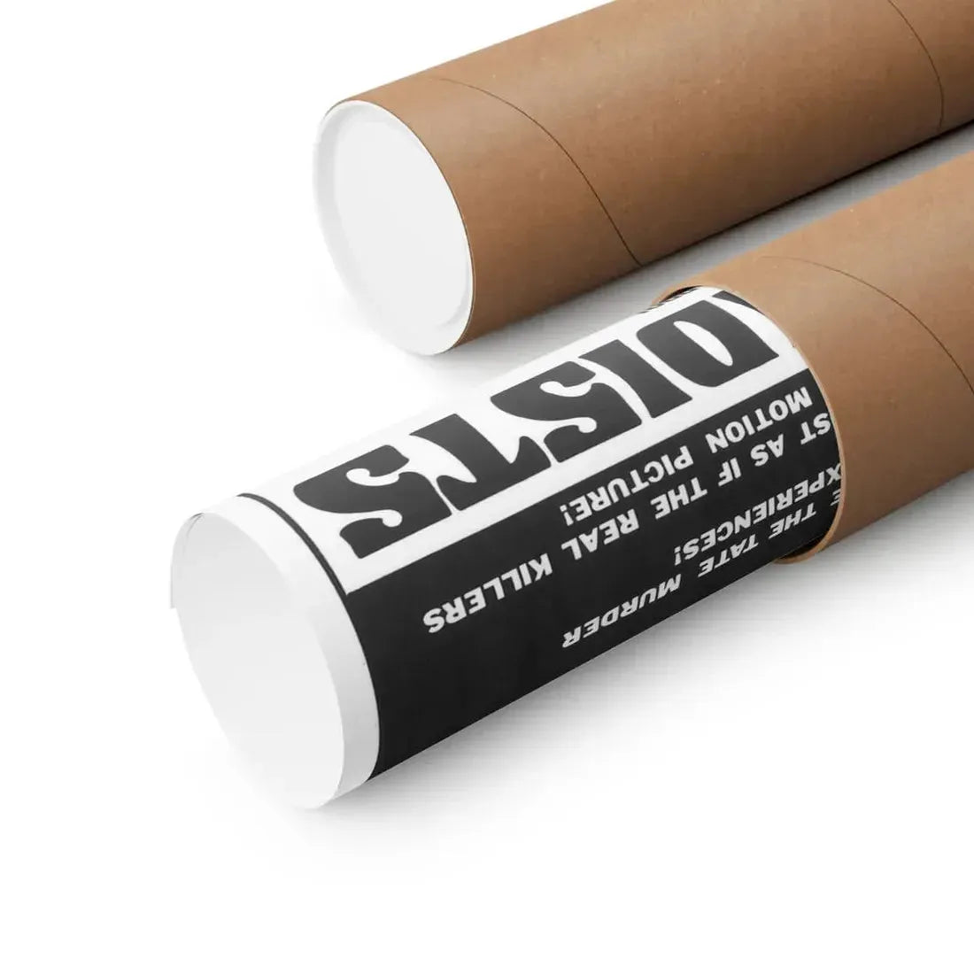 SATAN'S SADISTS 1969 - Paper Movie Poster - The Sticker Space