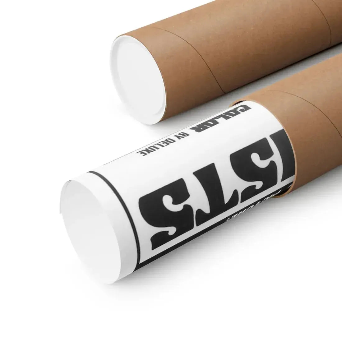 SATAN'S SADISTS 1969 - Paper Movie Poster - The Sticker Space