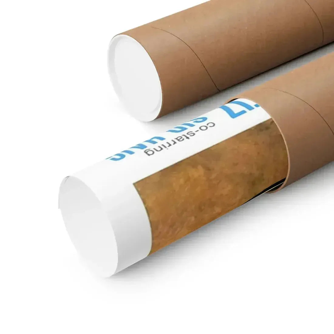 SAVAGE SISTERS (2) 1974 - Paper Movie Poster - The Sticker Space