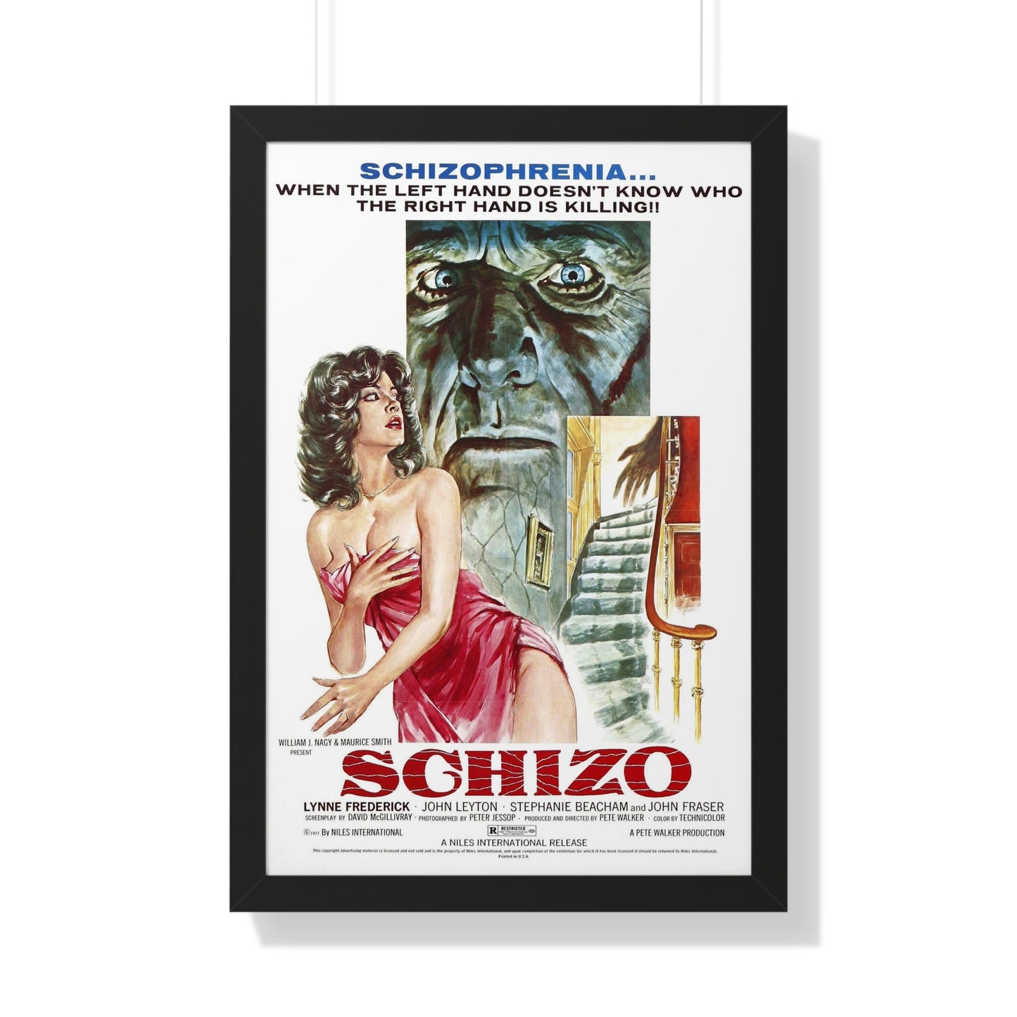 SCHIZO 1976 - Framed Movie Poster-20" x 30"-The Sticker Space