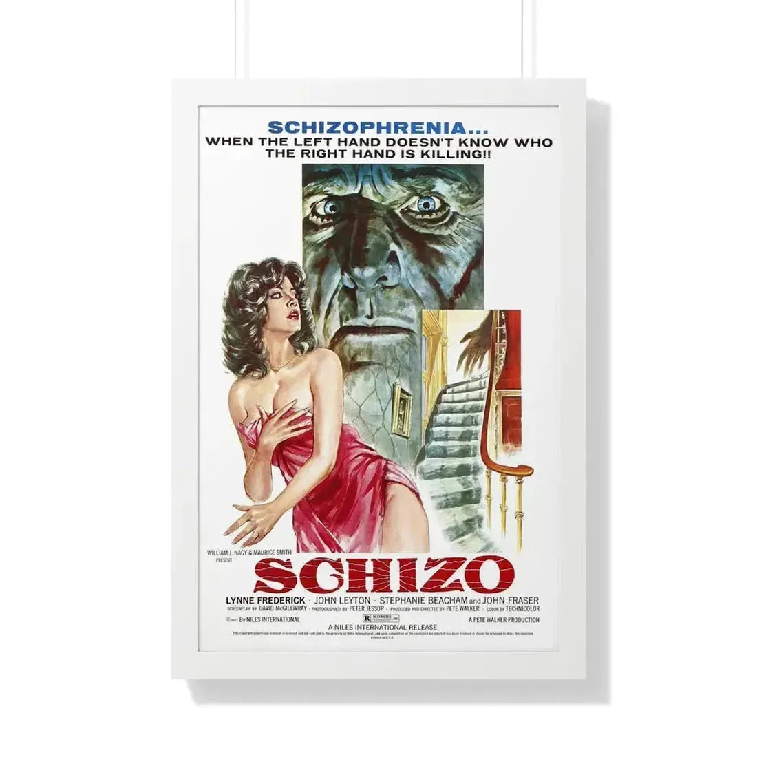 SCHIZO 1976 - Framed Movie Poster 20" x 30" White - The Sticker Space