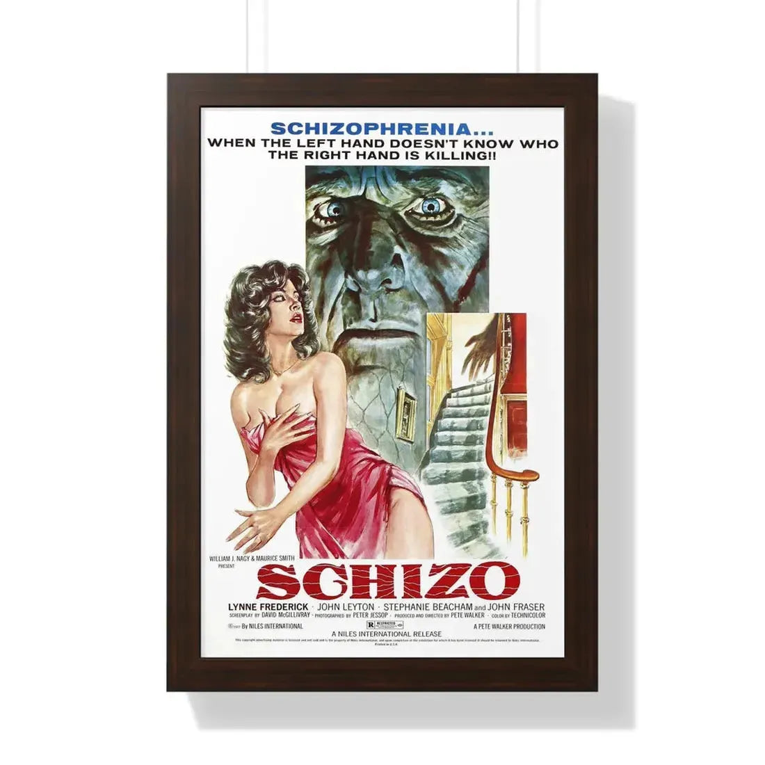 SCHIZO 1976 - Framed Movie Poster - The Sticker Space