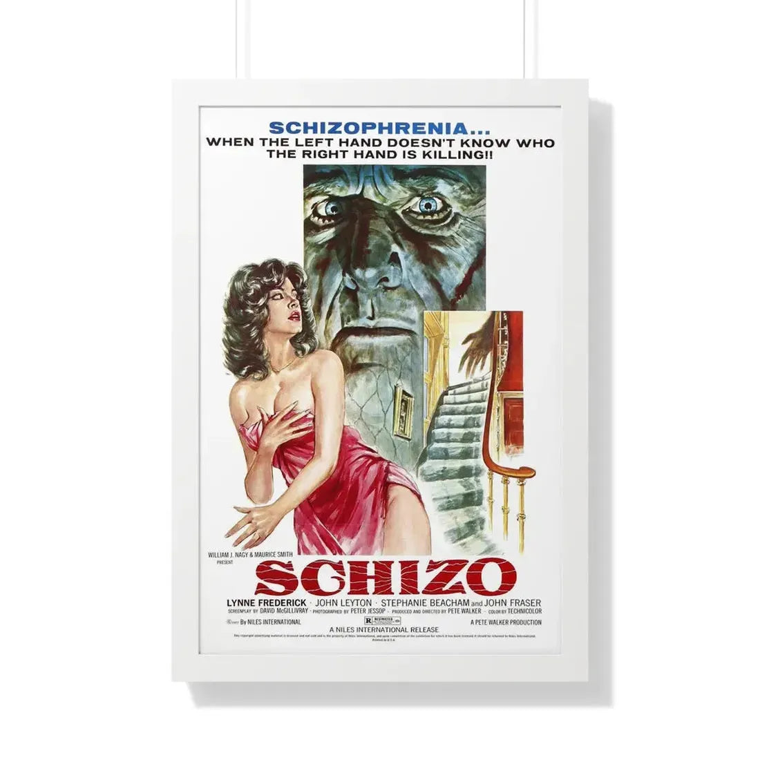 SCHIZO 1976 - Framed Movie Poster - The Sticker Space