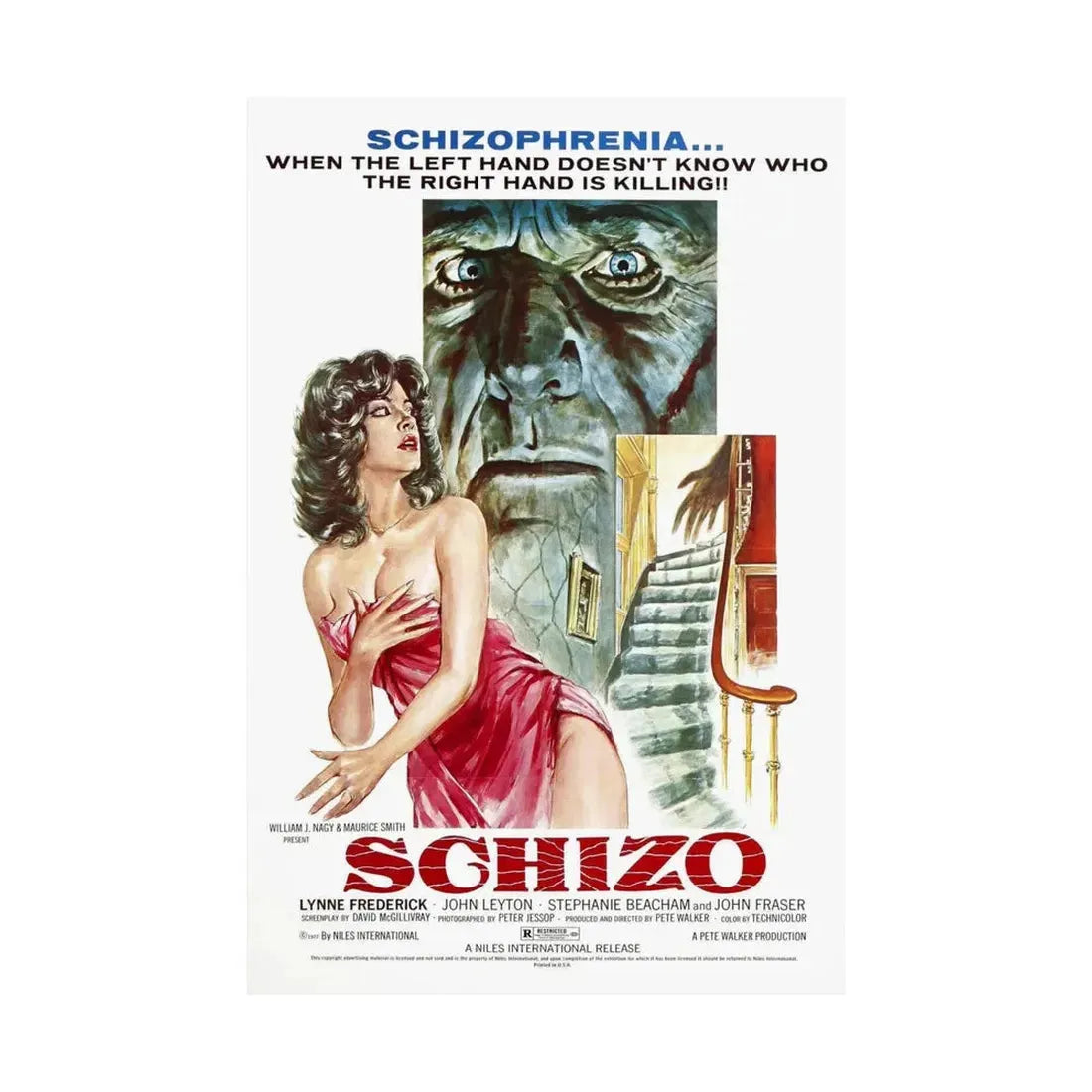 SCHIZO 1976 - Paper Movie Poster - The Sticker Space