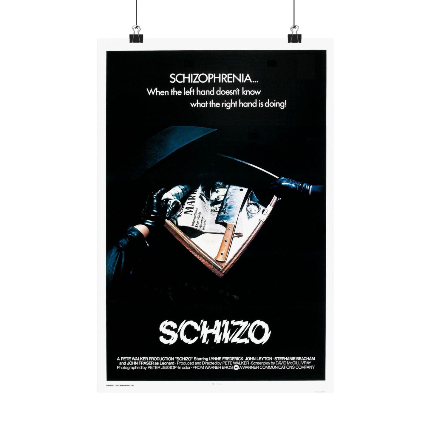 SCHIZO (2) 1976 - Paper Movie Poster-12″ x 18″-The Sticker Space